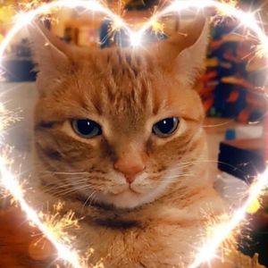 Meet your Posher, See